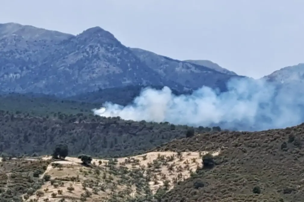 El Infoca da por estabilizado el incendio forestal originado en Jayena